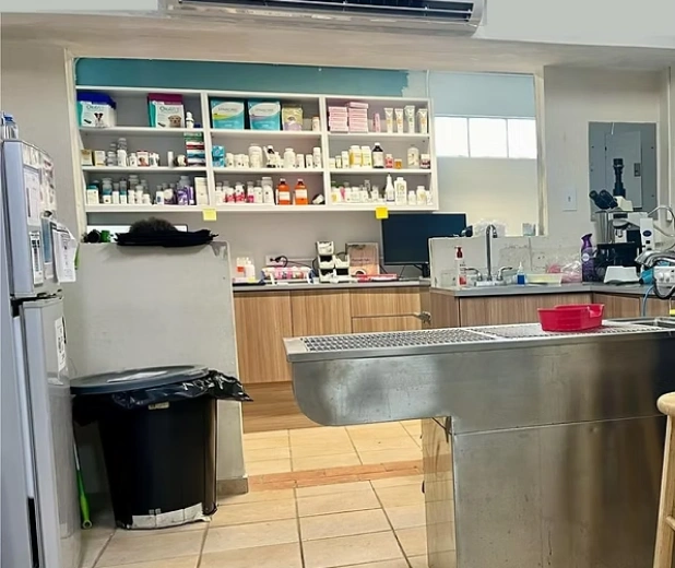 Farmacia