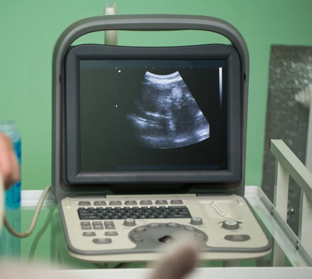 Ultrasonido Veterinario