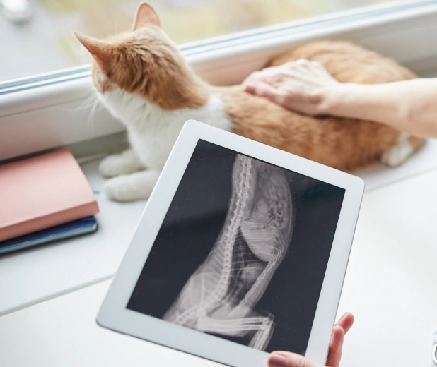 Radiología Veterinaria