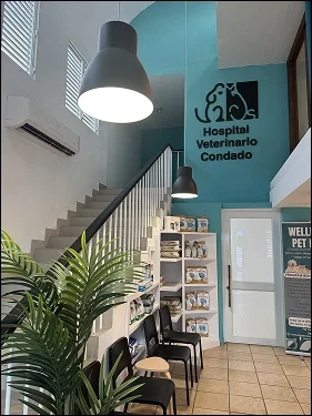 Bienvenidos al Hospital Veterinario Condado