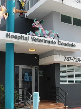 Bienvenidos al Hospital Veterinario Condado